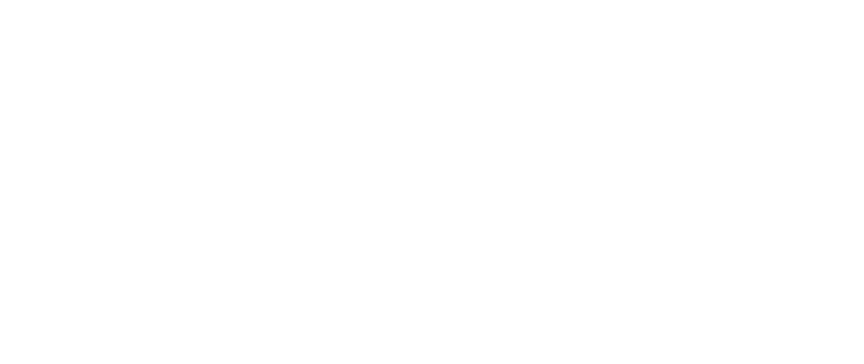 Lynxview logo blanco